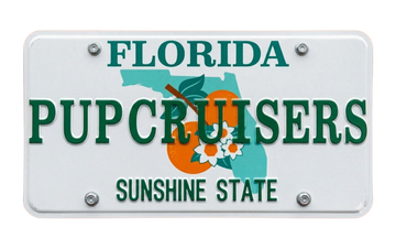 FL License Plate