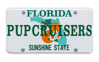 FL License Plate