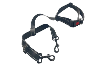 Dog Safety Tether