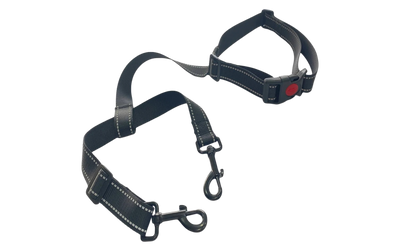Dog Safety Tether