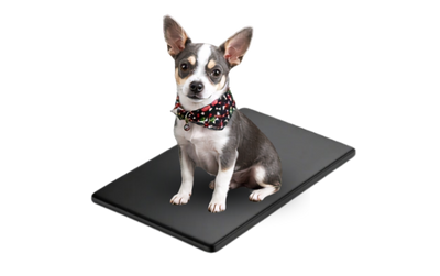 Pet Cushion